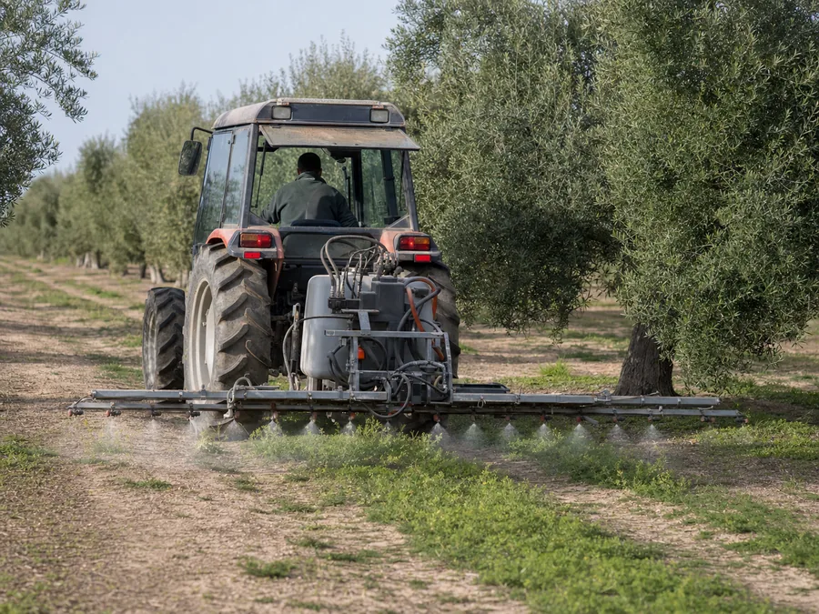 Aplicación controlada de herbicida sobre las hierbas del olivar