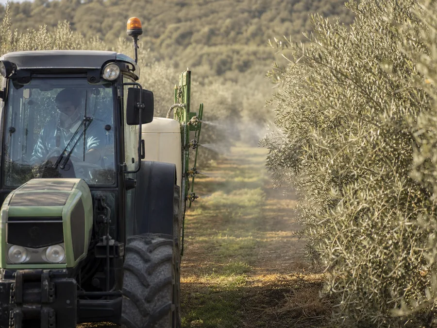 Aplicación mecanizada de tratamiento en un olivar